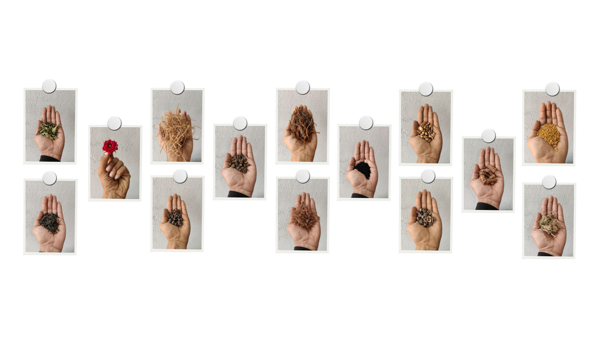 Formulation Ritual Image